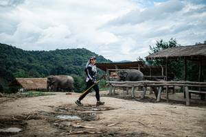 BIB: 
                            <button type="button" onclick="openModal(22423459)" class="btn btn-primary btn-sm float-right btn-popup" data-toggle="modal" data-target=".modal-high-quality">
                        <i class="fas fa-shopping-cart"></i> Add to Cart
                    </button>
                                            <button type="button" onclick="isThisMe(22423459, true)" class="btn btn-success btn-sm float-right btn-popup btn-isme hidden" data-toggle="tooltip" data-placement="bottom" title="นี่คือรูปของคุณใช่ไหม คลิกที่นี่เพื่อเอาเข้าอัลบั้ม">
                        <i class="fas fa-plus"></i> Add to album
                    </button>
                    <button type="button" onclick="isThisMe(22423459, false)" class="btn btn-warning btn-sm float-right btn-popup btn-isnotme hidden">
                        <i class="fas fa-ban"></i> Remove from album
                    </button>